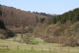 oberes Rumohrtal, Blick nach Norden