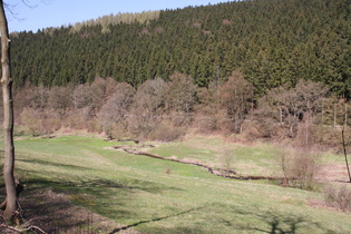 die Holzminde mit ausgeprägten Mäandern