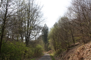 Bierweg, unterer Abschnitt oberhalb Wennigser Mark