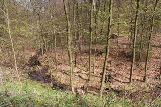 ein Bach am Bierweg, Unterlauf