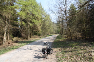 Deisterkammweg, Richtung Annaturm