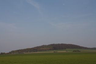 der Burgberg, höchste Erhebung des Gehrdener Berges