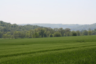 Nordrand der Ottensteiner Hochfläche, Blick vom Emmertal aus