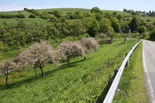 in Serpentinen rauf nach Lichtenhagen (rechts)