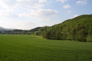 der Ilsenbach zwischen Rischenau und Elbrinxen