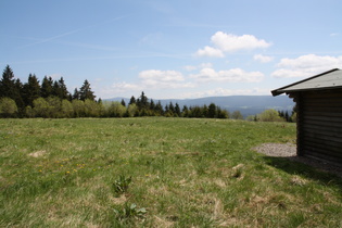 ein Blick zum Brocken — aber was läuft denn da rum?