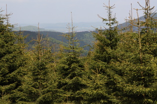 zwischen Schalke und Auerhahn, Blick nach Norden