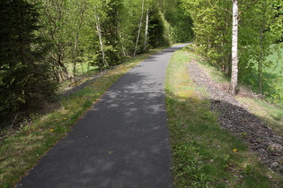 der Gleisschotter verrät es: dieser Radweg war mal ein Bahndamm