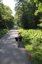 Süntelstraße, Steilstück