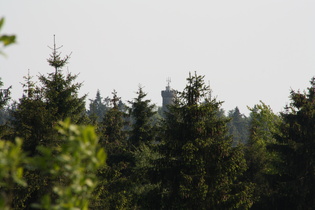 Blick zum Süntelturm