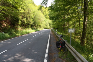 immer noch viel zu viel Laubwald