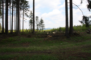 ein erster Blick auf den Wurmberg