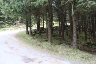 Wurmbergstraße, Kehre im steilsten Bereich