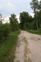 Landschaft mit dem Charme eines Truppenübungsplatzes