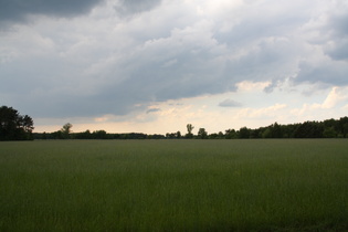 … Vorboten des kommenden Wetterwechsels