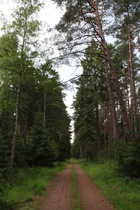 auf dem Weg nach Fuhrberg