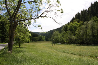 Siebertal im Bereich der L521, Blick nach Osten