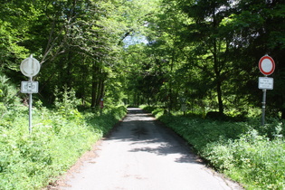 ab hier ungestörter Fahrradfahrspaß im Siebertal