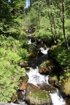 der Fischbach, ein östlicher Zufluss der Sieberein östlicher Zufluss der Sieber