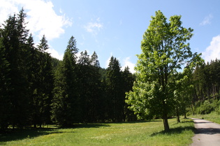 ansatzweise ein Hochtal oberhalb der Engstelle