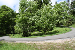 obere von zwei Kehren im Großen Sonnental