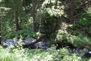 die Sieber im Großen Sonnental