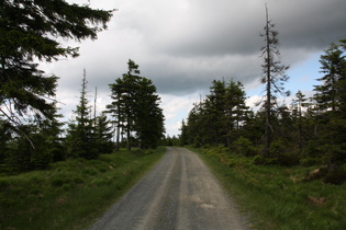 Auf dem Acker: Blick nach Norden