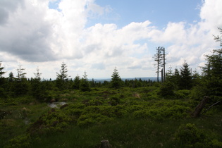 Auf dem Acker: Blick nach Westen