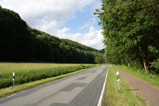 zwischen Lonau und Herzberg am Harz, Blick zurück Richtung Lonau