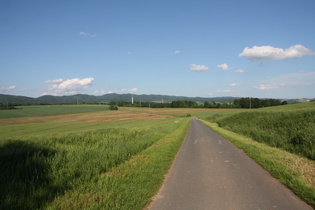 Blick vom Ochsenberg nach Osten auf den Harz