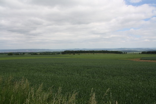 Blick nach Osten von der L559 oberhalb Jühnde