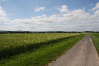 Leineradweg im sehr weitläufigne Leinetal bei Niedernjesa