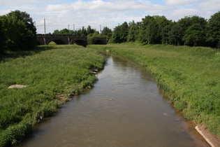 die Leine in Göttingen