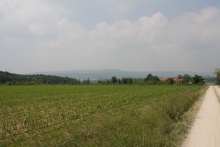 zwischen Springe und Bad Münder: Blick auf den Süntel
