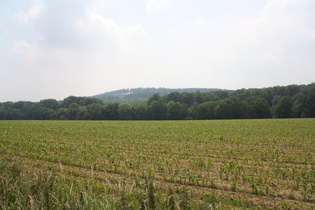 zwischen Springe und Bad Münder: Blick auf den Osterberg