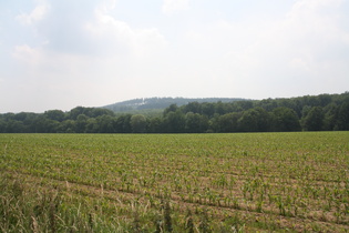 zwischen Springe und Bad Münder: Blick auf den Osterberg