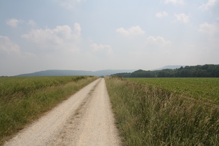 zwischen Springe und Bad Münder: Blick auf den Kleinen Deister