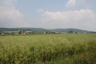 zwischen Springe und Bad Münder: Blick auf den (Großen) Deister