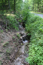 die Samke längs der Jägerallee oberhalb von Springe