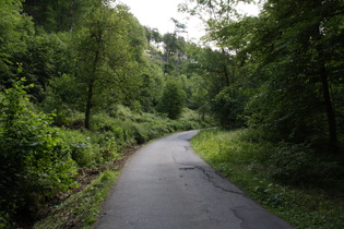 oberhalb von Bad Harzburg dominiert Laubwald