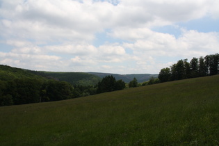 Blick nach Osten oberhalb des Molkenhauses …