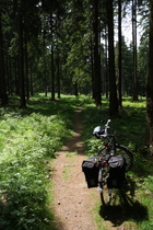 hart an der Grenze für ein Trekkingrad