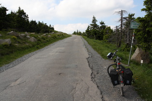 kurz vor dem Gipfel an der Waldgrenze