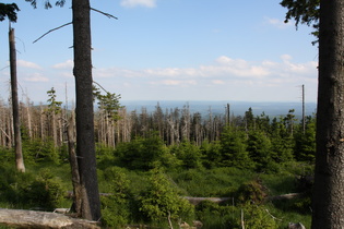 Blick nach Süden vom unteren Ende des Brockenbetts