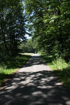 "Tunnelblick" westlich von Eilvese