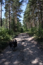 auf dem Weg zum Himberg, Ende im Gelände, Schieben!