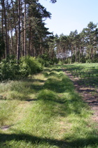 auf dem Weg zum Giebichenstein
