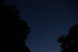 der Große Wagen, Teil des Sternbildes Großer Bär (Ursa Major)