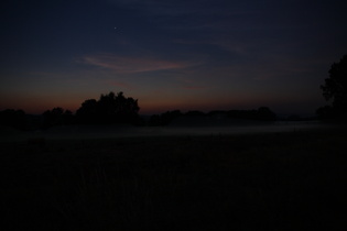 Bodennebel zwischen Ellensen und Markoldendorf