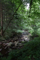 die Große Oker oberhalb Altenau